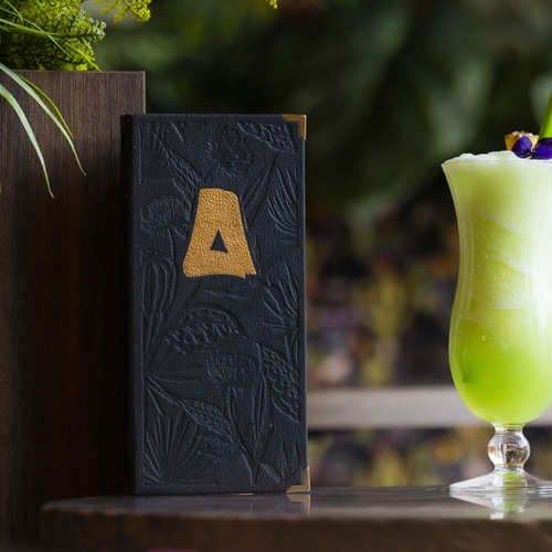 500x500_20221214-tomdoms_0354327 kopie